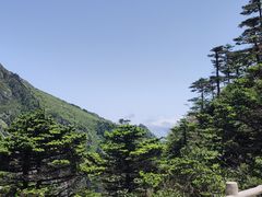 -牛背梁国家森林公园