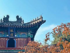 -洛阳白马寺