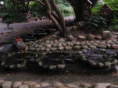 -成都市活水公园