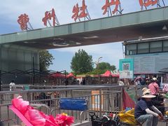 -曹州牡丹园