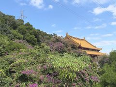 -厦门艾美酒店·新食谱西餐厅