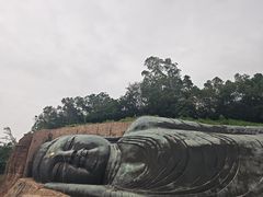 -三水森林公园