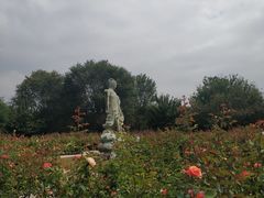 -廊坊市自然公园
