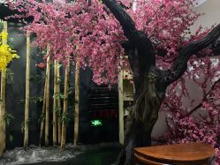 -盘子女人坊生日照·摄影馆(华强店)