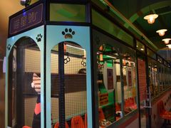 -猫咪博物馆(顶澳仔猫街店)