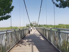 -西青郊野公园