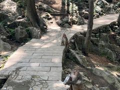-黔灵山公园