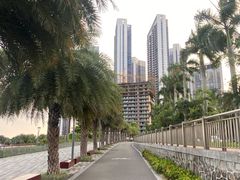 -深圳湾公园(南山区)