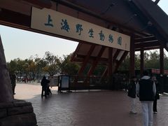 -上海野生动物园老虎餐厅