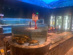 -海立阁海鲜江浙菜(漕河泾印象城店)