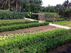 酒店稻草人农庄-三亚亚龙湾红树林度假酒店