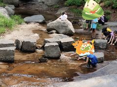 -雾灵西峰
