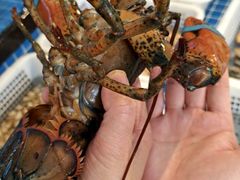 -碧海银沙海鲜餐厅(恒大海上威尼斯店)