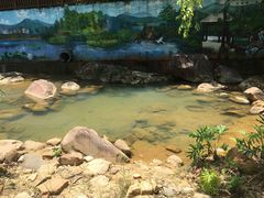 -广州白江湖森林公园