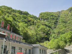 -牛背梁国家森林公园
