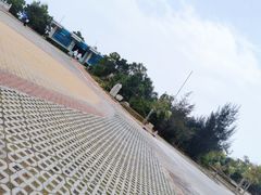-广东惠东海龟国家级自然保护区