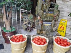 -蕃茄述·好汤自然来(江汉路店)