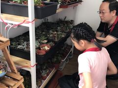 -A+匠心DIY手工坊·首饰·微景观