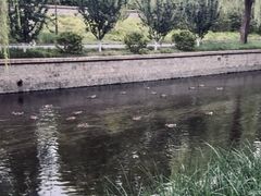 -元大都城垣遗址公园