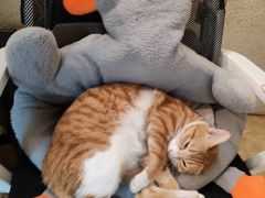 -逃脱反斗城沉浸剧情密室(北京路店)