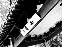 -西湖游船