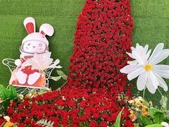 -北京华联合肥长江西路购物中心