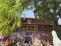 -宝通禅寺