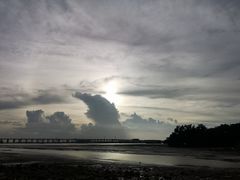 -宝安西湾红树林湿地公园