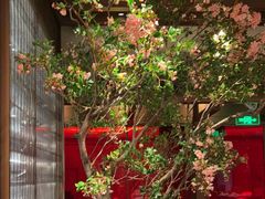 -星·South Beauty·俏江南(国贸店)