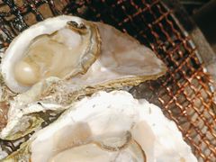 -韩京炭火烤肉自助料理(柯桥万达店)