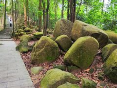 -火炉山森林公园