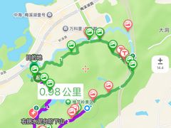 -桃花岭景区