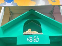 -KKV(深圳宏发大仟里店)