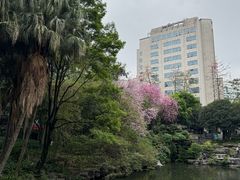 -柳侯公园