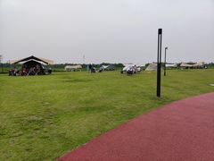 -春花秋色城市公园