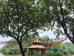 -李小龙乐园(顺德均安店)