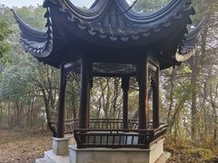 -龙寺生态园