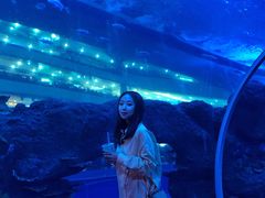 -成都浩海立方海洋公园