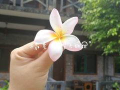 -大新明仕山庄