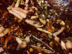 -东吴霸王兔(松青路店)