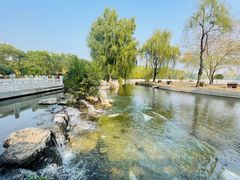 -莲花池公园