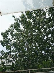 -乐米baby儿童摄影(燕郊店)