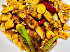 辣炒竹节蛏-必点海鲜·鲅鱼水饺(鞍山西道店)