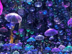 -梵高星空艺术馆(北京旗舰店)