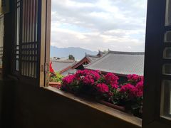 -有一锅·野生菌黑山羊腊排骨火锅(古城北门店)