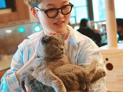 大堂-喵园·猫主题咖啡厅·撸猫·猫咖(国贸店)