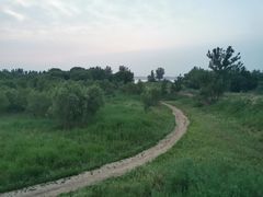 -花园口旅游区