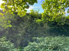 -南京维景国际大酒店(南京博物院店)