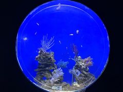 -江和美海洋公园