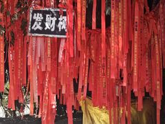 -独树成林